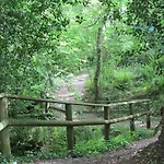 Castle Brake Holiday Park